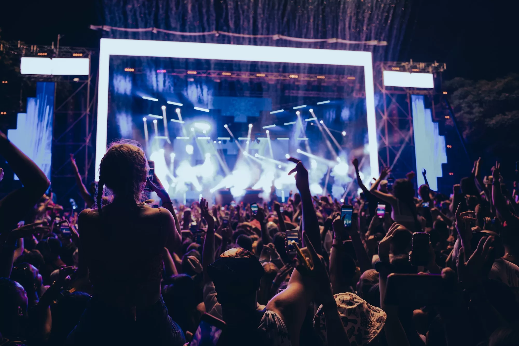 Concert crowd on a music concert